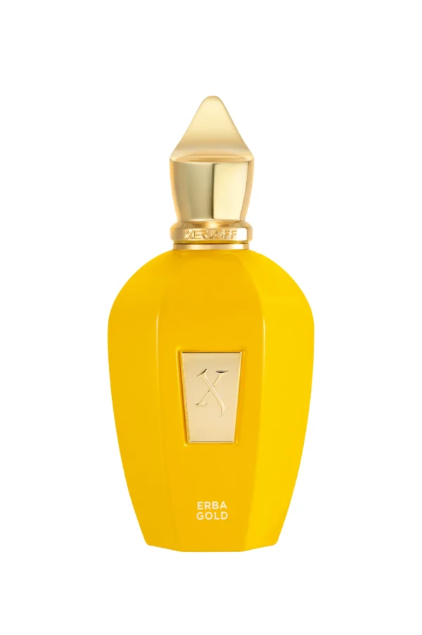 XERJOFF ERBA GOLD EDP 100ML TESTER