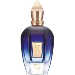 XERJOFF JTC MORE THAN WORDS EDP 100ML TESTER